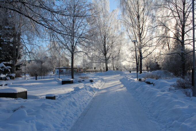 Kuvassa on puistokäytävä, lumipeitteinen maa ja kuuraisia suuria lehtipuita